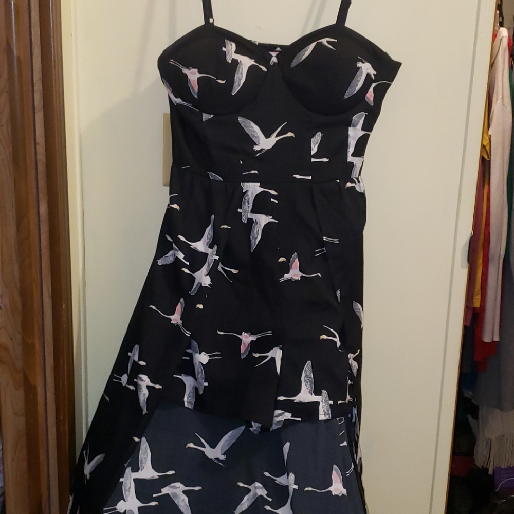 Clothes - Picture 7 of 8